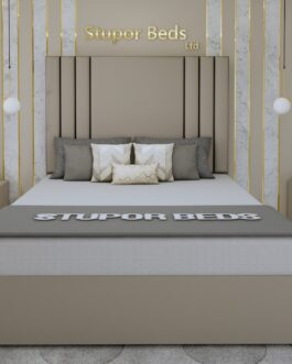DIWAN BED-9