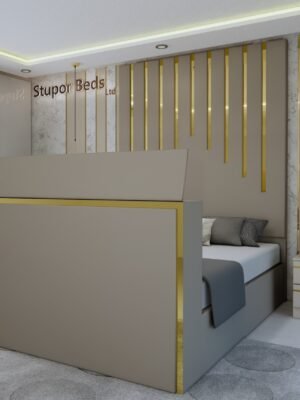 Adjustable TV Bed
